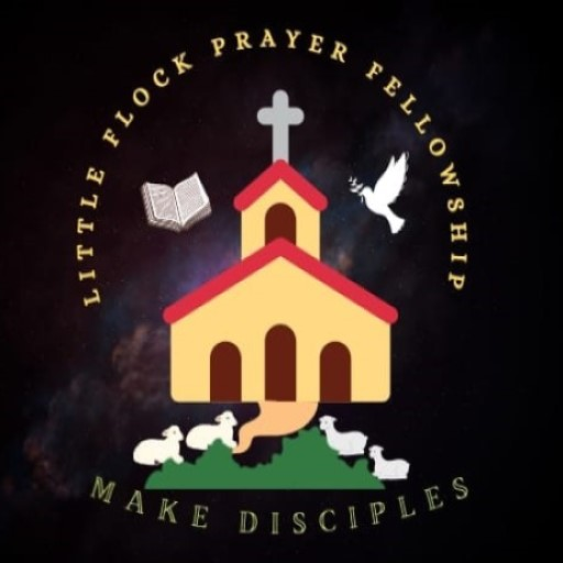 Website Logo
